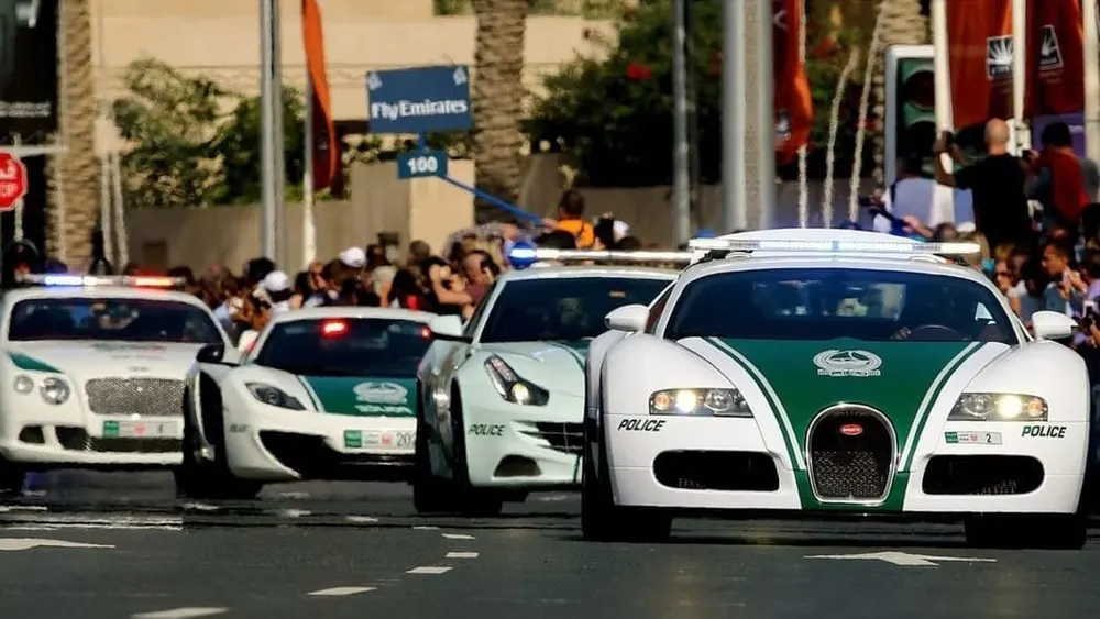 A row of white and green police cars