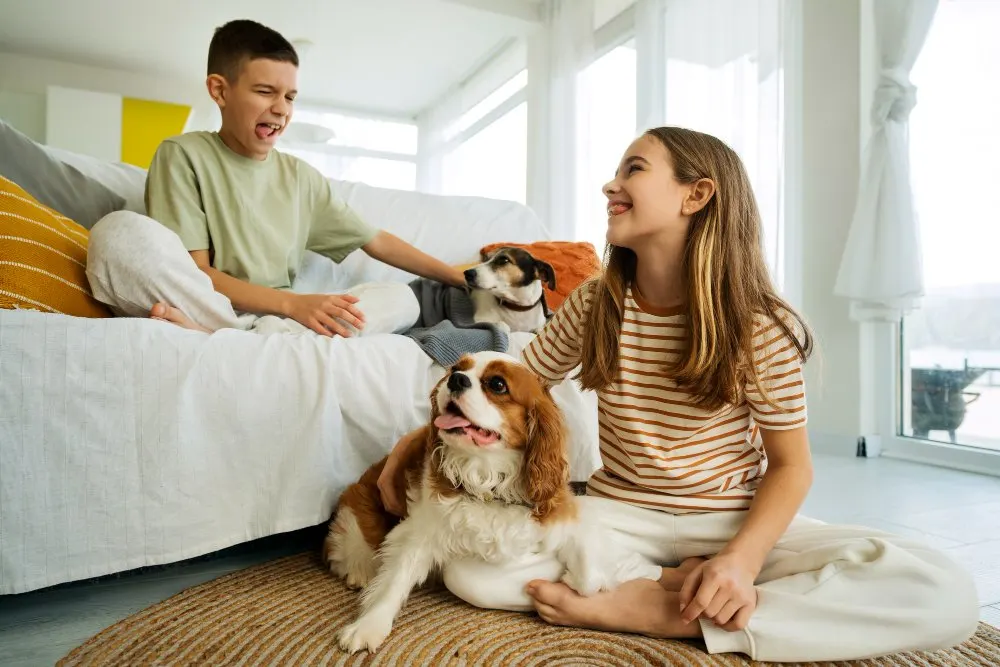 Due persone sedute con cani in un soggiorno luminoso
