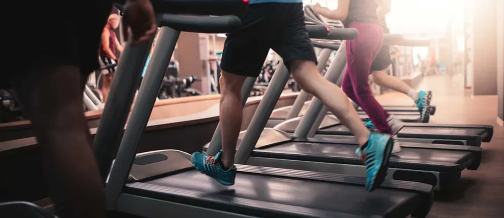 People exercising on a row of gym treadmills