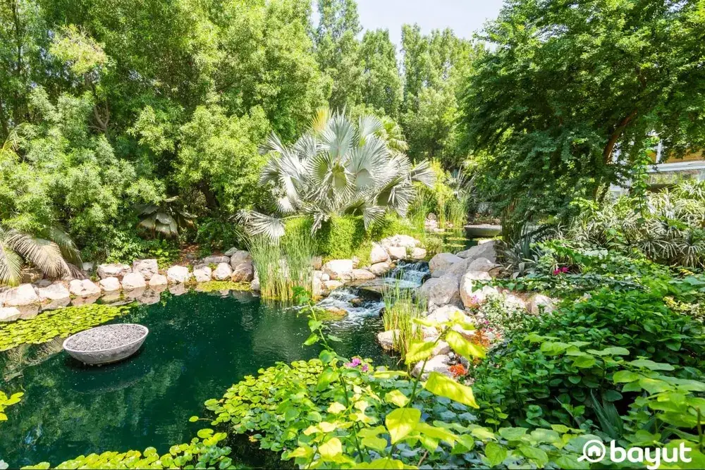 Jardin luxuriant avec un bassin, des rochers et des arbres surplombant l’eau