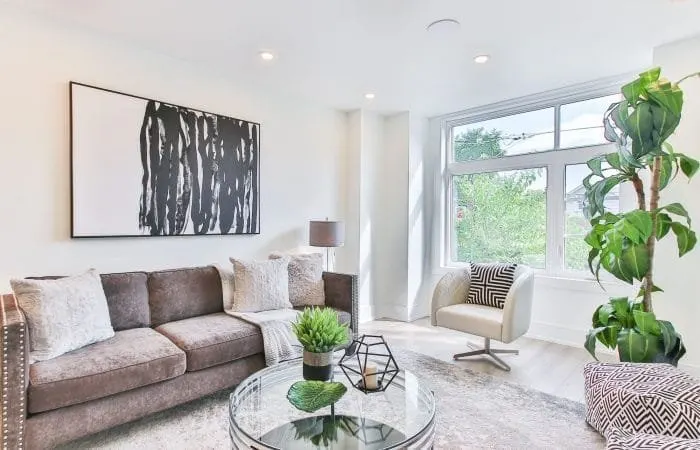 Bright living room with grey seating and leafy houseplants