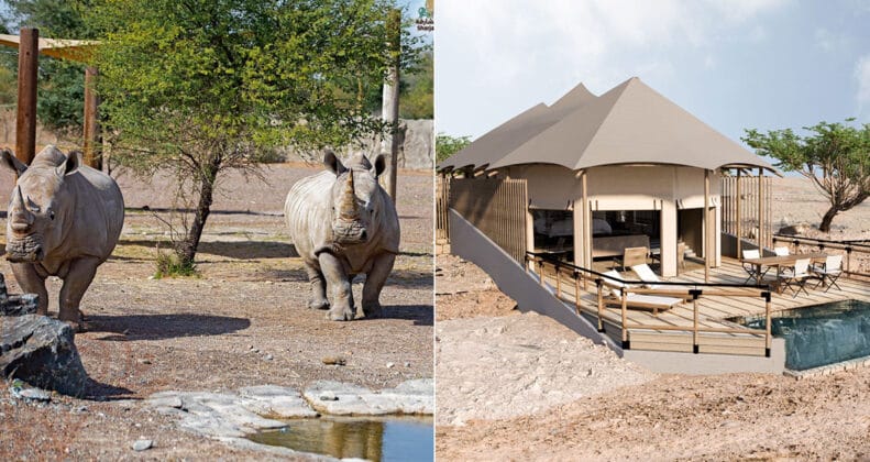 Experience the UAE’s First Safari Resort at Lux Resorts Sharjah