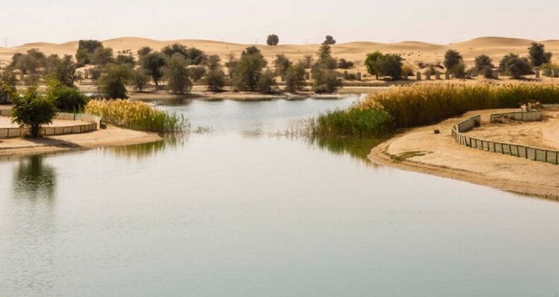 Discover Serenity at Al Qudra Lake in Dubai